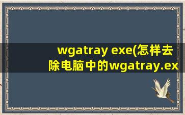 wgatray exe(怎样去除电脑中的wgatray.exe程序)